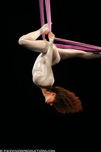 Cirque Aerial Silk